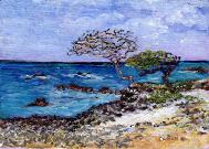 Fofoti Tree by Kay Norris Carlin