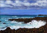 Wild Side by Kay Norris Carlin