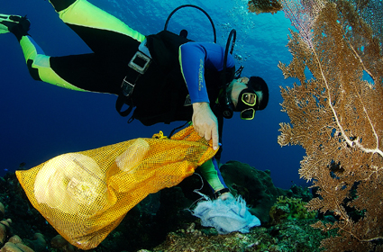 Aruba Reef Care Project