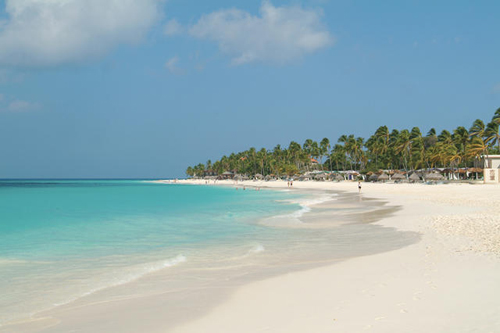 4 Divi Aruba Beach _amp_ View of Resort.jpg