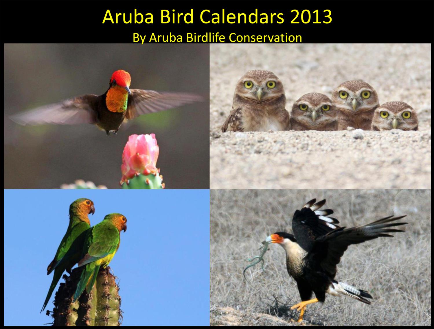 birdlife-calendar.jpg