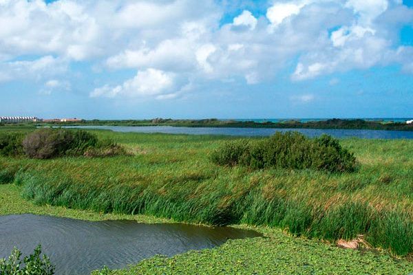 1017_20_Bubali-Bird-Sanctuary.jpg