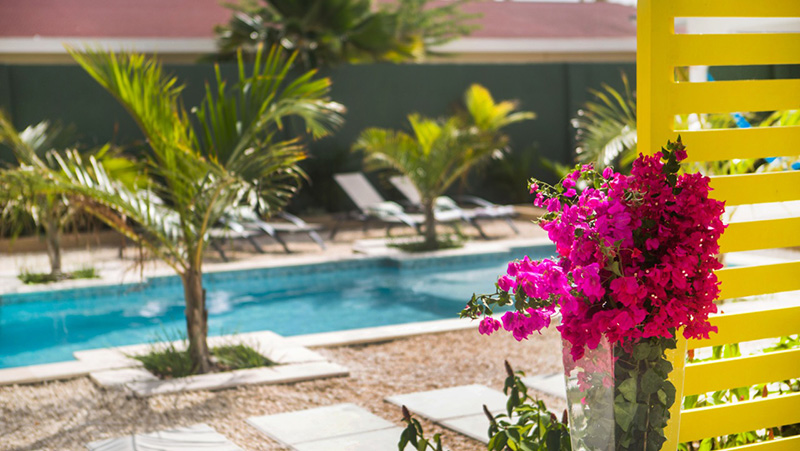 spacious-pool.jpg