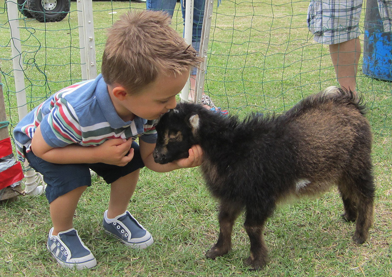 goat.petting.zoo_.jpg