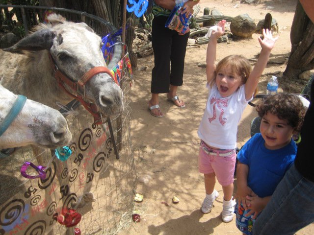 donkey sancturary kids.jpg