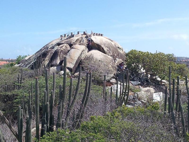 Aruba News by VisitAruba Aruba's craziest bus, the Kukoo Kunuku, offering summer time Family