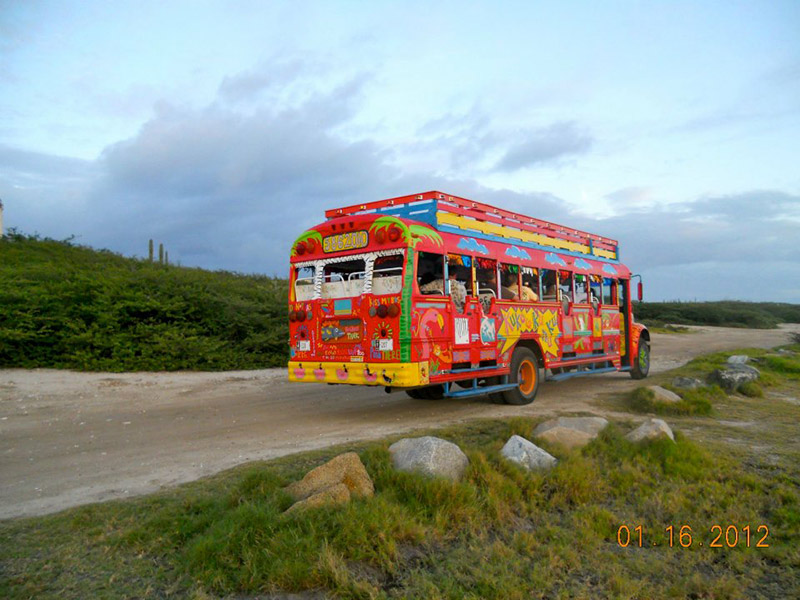Aruba News by VisitAruba Aruba's craziest bus, the Kukoo Kunuku, offering summer time Family