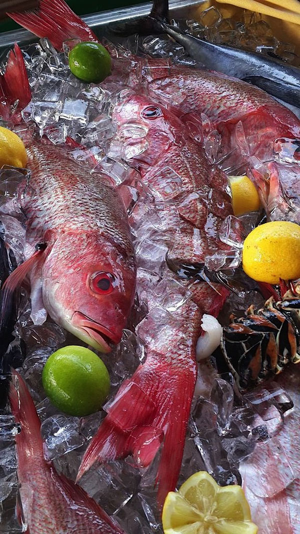 Aruba Radisson Resort launched Friday Fish Market at Gilligan?s Beach Bar & Grill