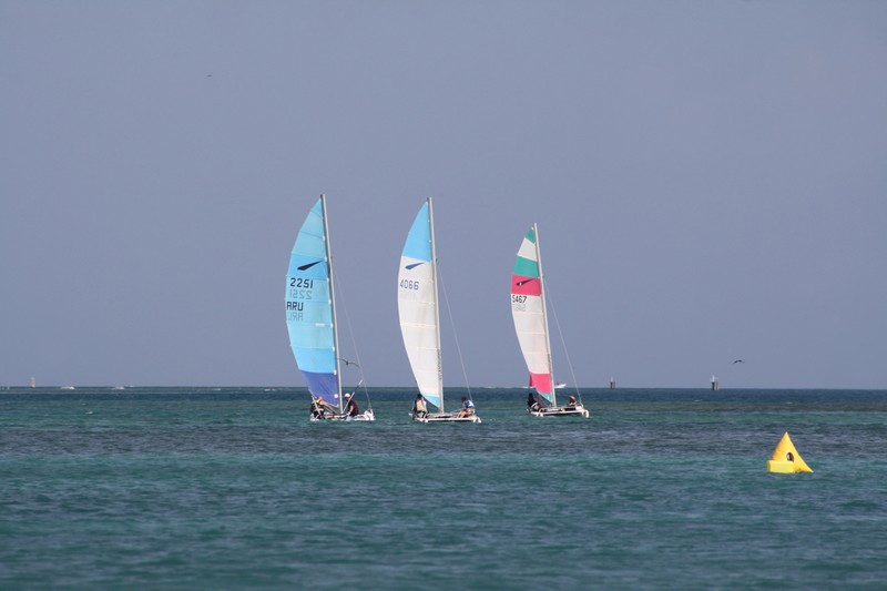 Aruba International Regatta
