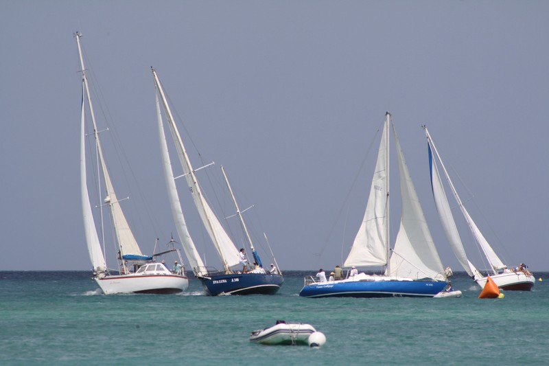 Aruba International Regatta