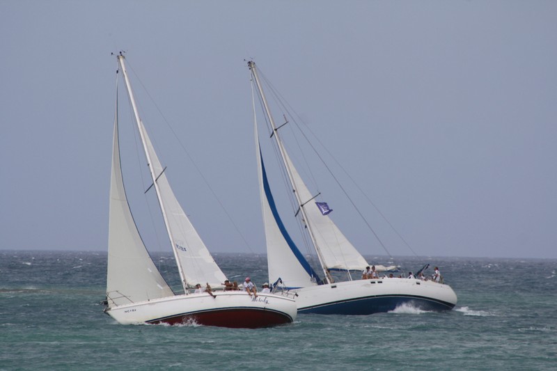 Aruba International Regatta