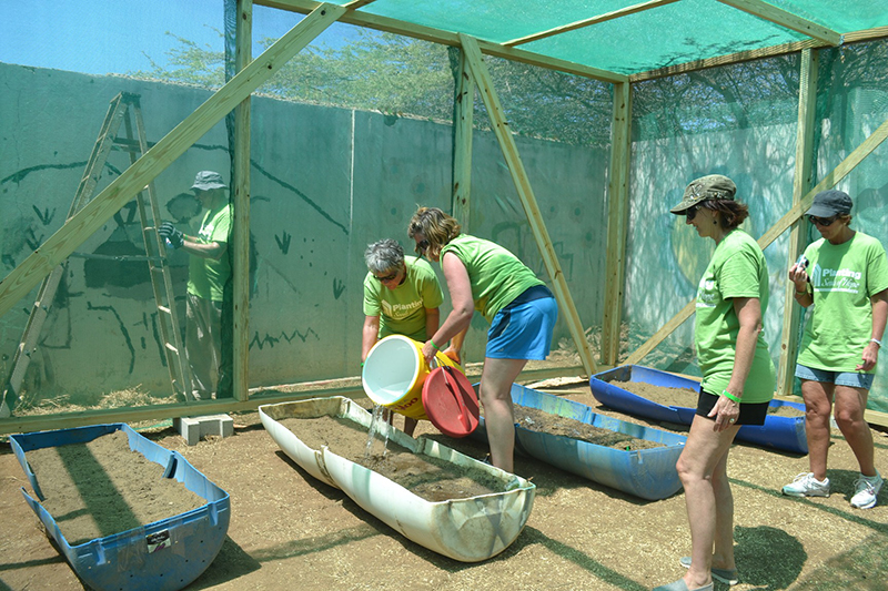 Watering-Plants-After-Finished-Greenhouse.jpg