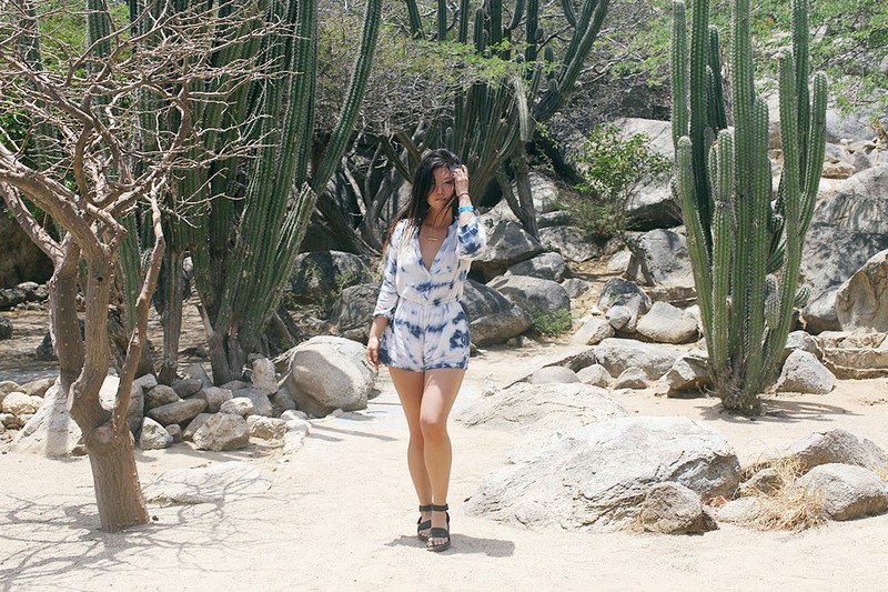 aruba-grease-and-glamour-desert