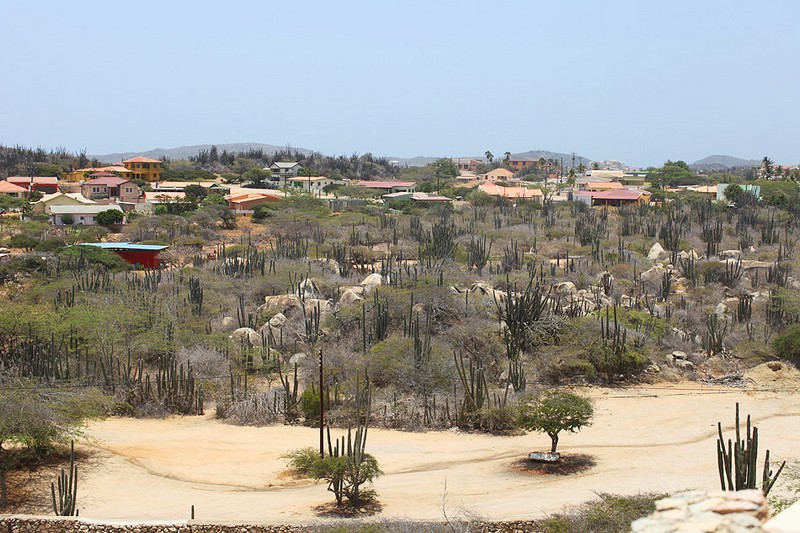 aruba-island
