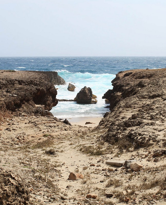 aruba-north-coast-island