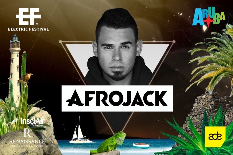afrojack-at-electric-festival.jpg