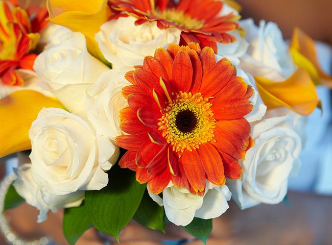 wedding-tierIII.jpg