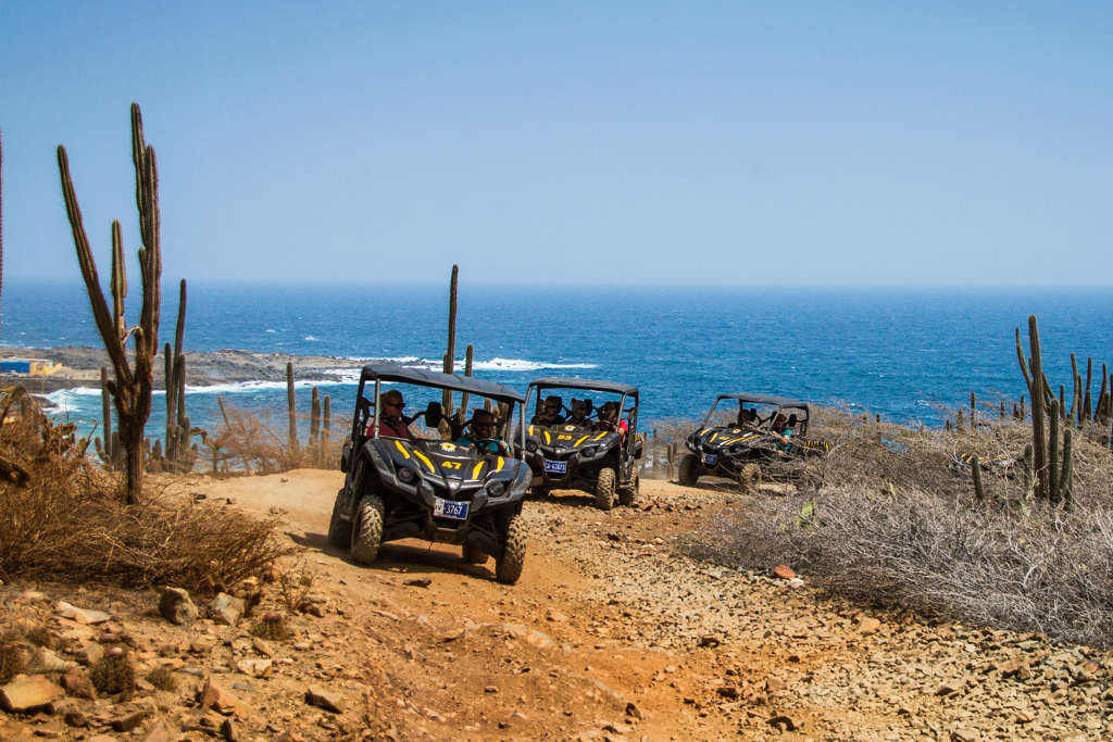 De Palm Tours UTV (2).jpg