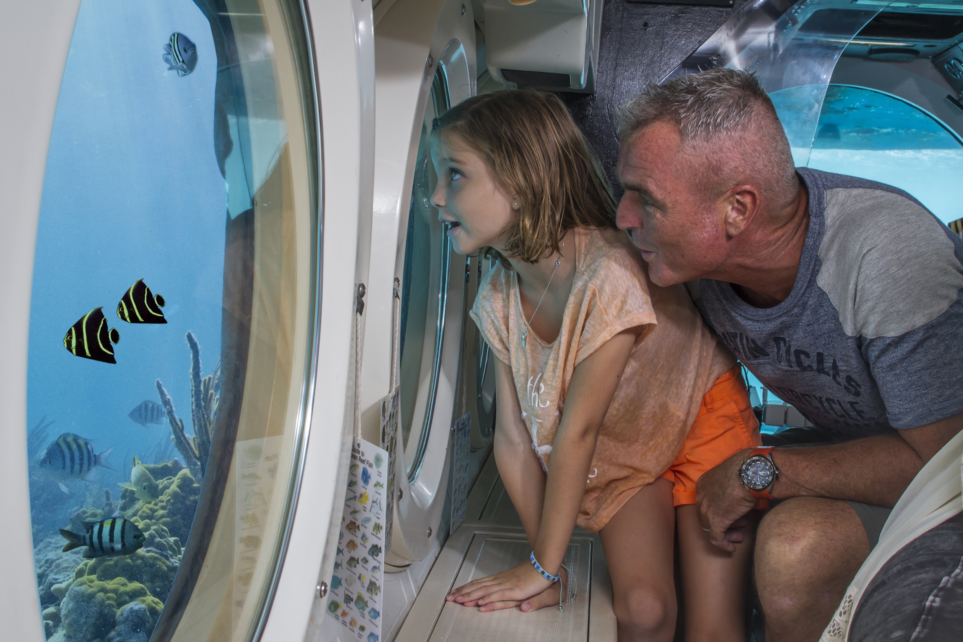 Atlantis Submarines Aruba sml.jpg