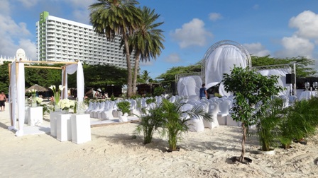 Bamboo draped with crystals.JPG