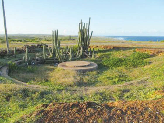 Aruba News by VisitAruba - Ola gains ground on day two of the 2014