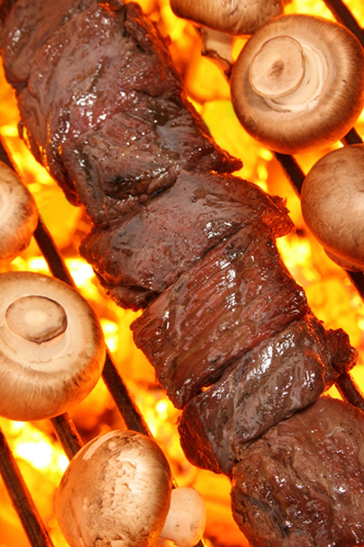 Beef-kebab-pix-dream-time-s.jpg